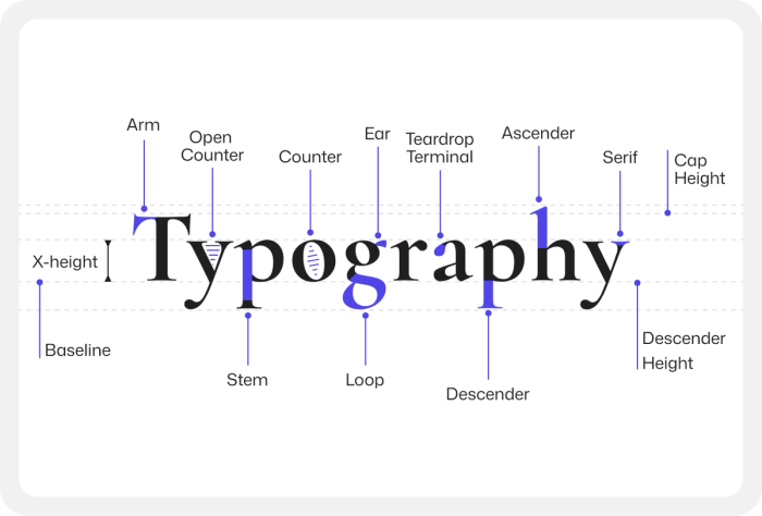 Type anatomy banner showcasing every part of a typography